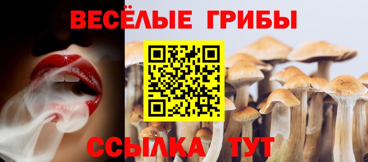 Елабуга  Псилоцибиновые грибы мицелий  Вход с VPN 